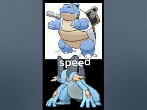 swampert vs blastoise.